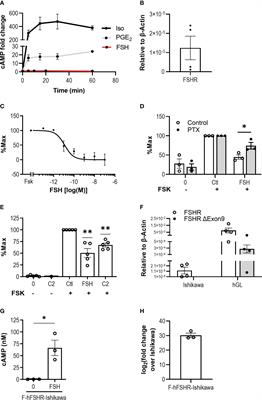 Follicle-Stimulating Hormone Induces Lipid Droplets via Gαi/o and β-Arrestin in an Endometrial Cancer Cell Line